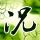 一比一原版杜鲁大学加利福尼亚分校毕业证【degxx.com】
