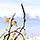 《AC：起源》大师级玩家截图 古埃及美景一览无余